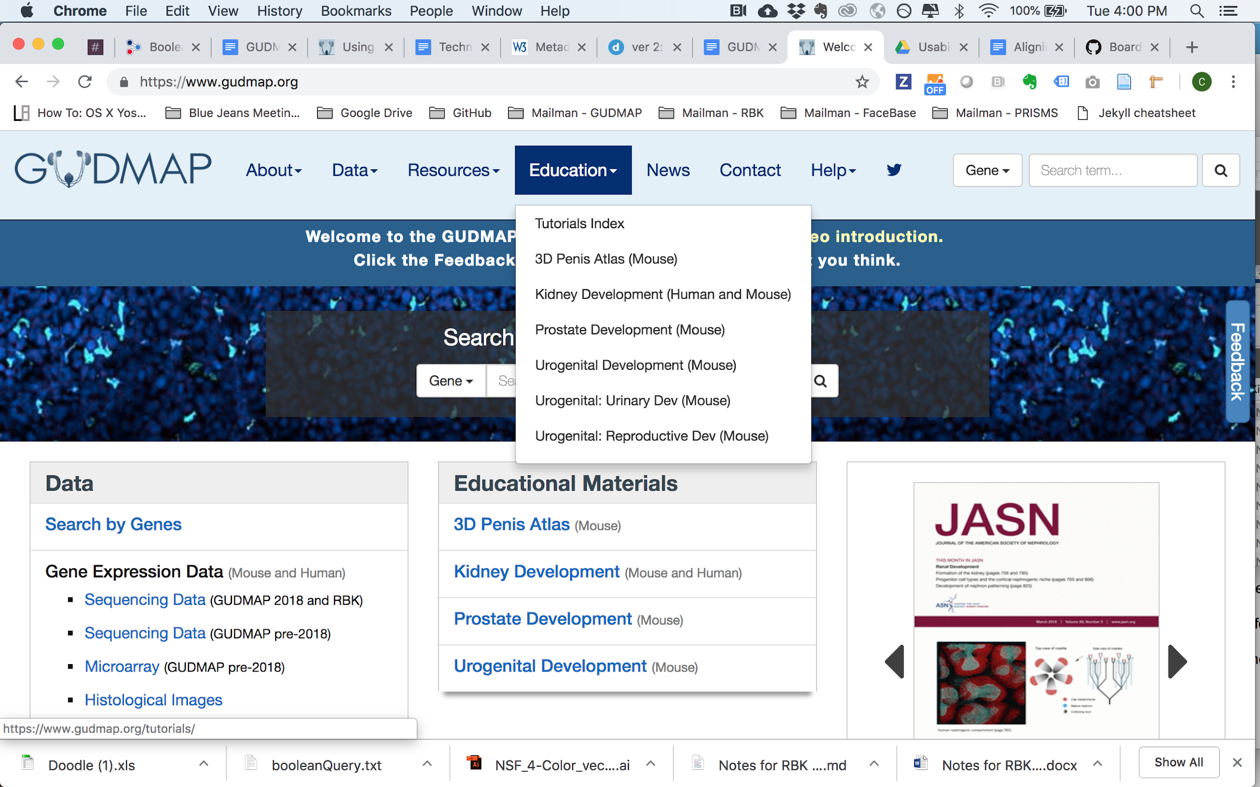 Navigating to the Education section of the GUDMAP website