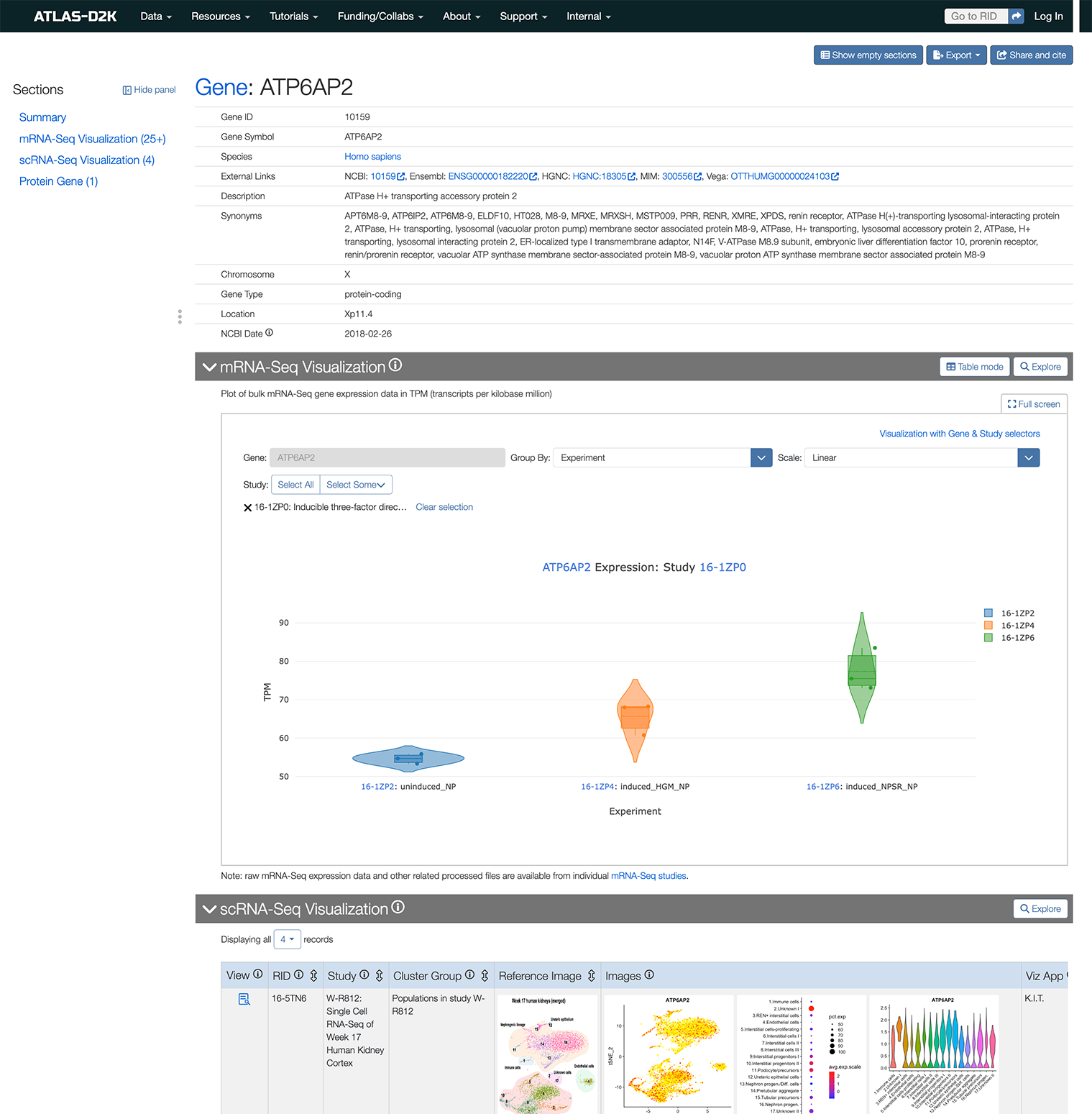 Shows results for APT6 Gene