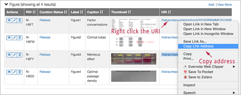 Screenshot displaying where to copy the URI