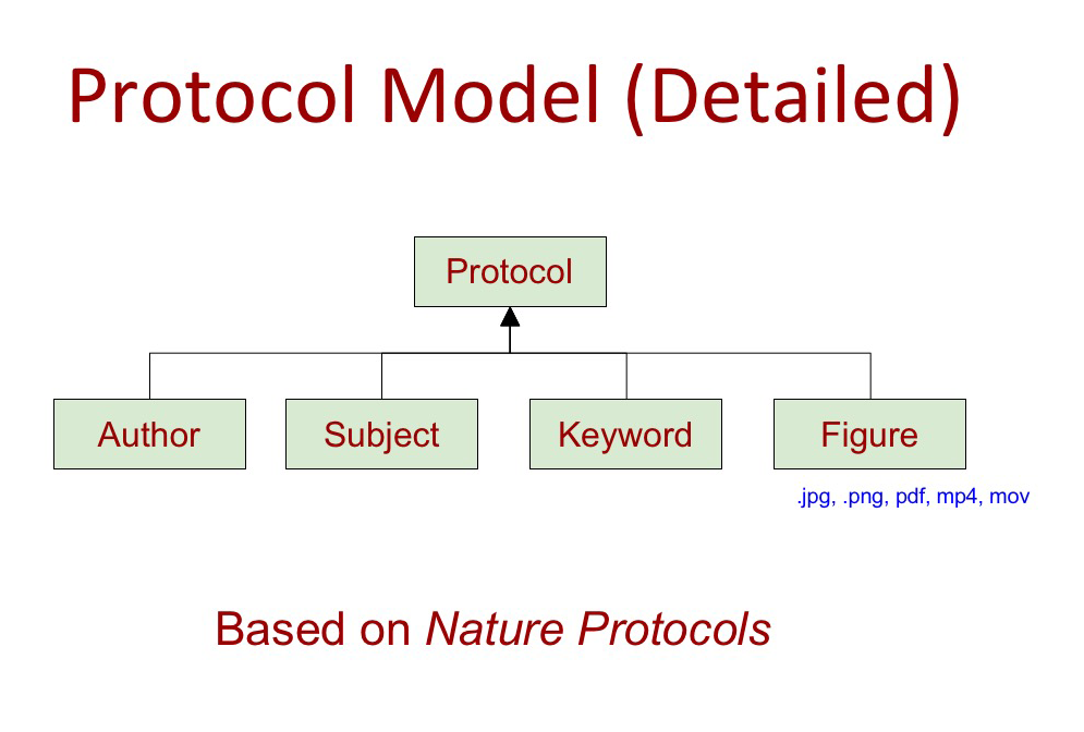 Diagram of protocol model