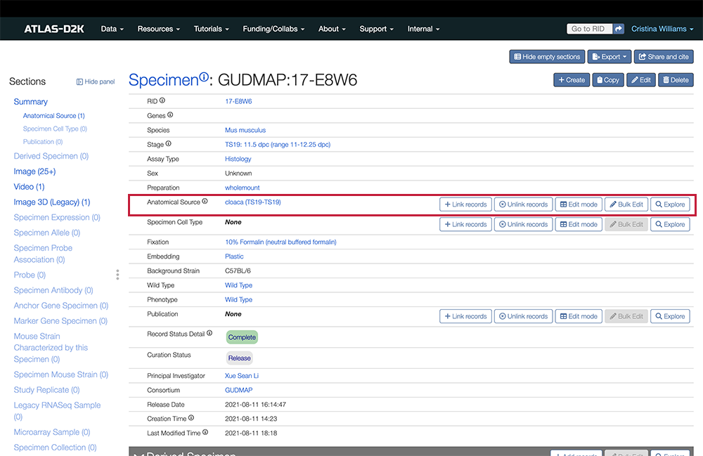 Anatomical Source field is highlighted in this screenshot