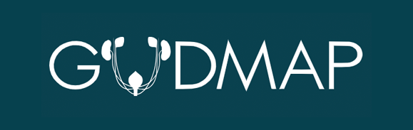 GUDMAP Consortium