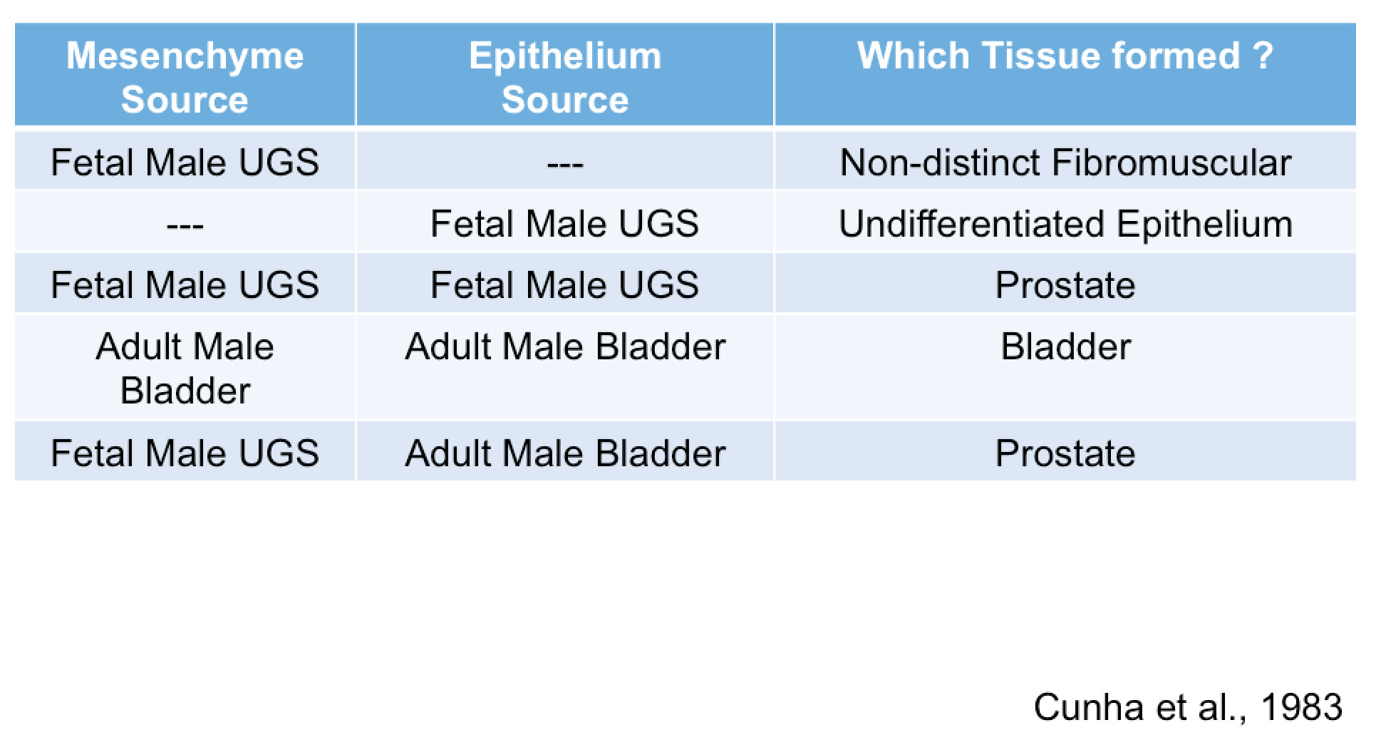 Table of tissue formed due to mesenchyme or epithelial source